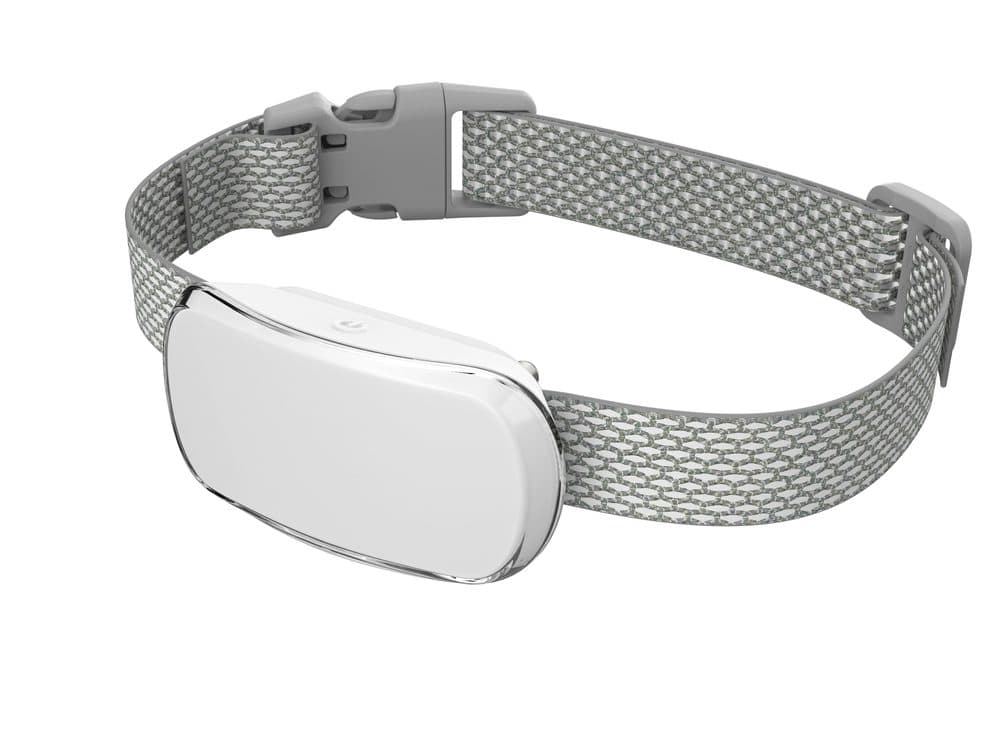 Reedog TC-005 | Anti-Bell-Halsband - weiß