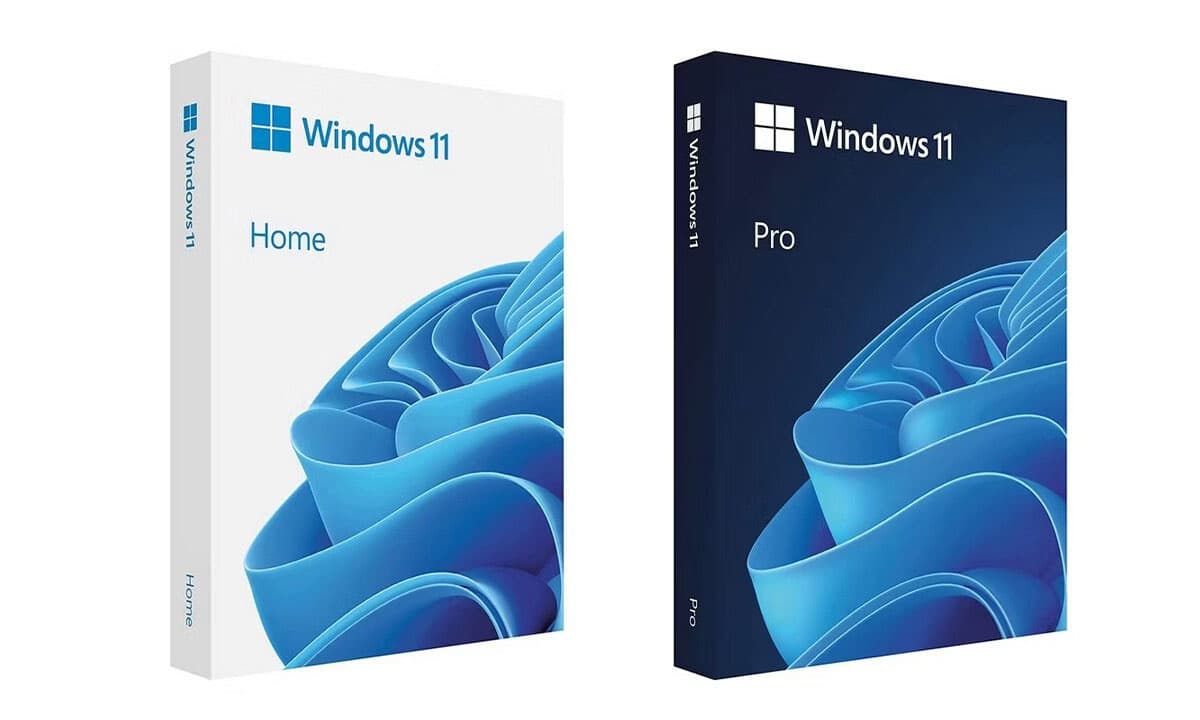 Microsoft Windows 11 Pro oder Family (Home)