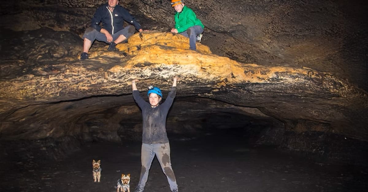 „Hö-Tour“ durch die Natur der Sächsischen Schweiz für 1 - 6 Personen