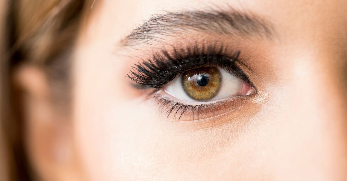 Bis zu 56% Rabatt auf den Wimpernwelle bei Haselnuss Honigblond Friseure