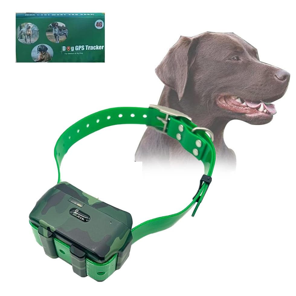 4G Jagdhund-Tracker-Halsband Feild GPS Echtzeit-Tracking IP67 Wasserdichter Haustier-Locator LK122M mit Fernbedienung Sprachtraining Kostenlose App gr