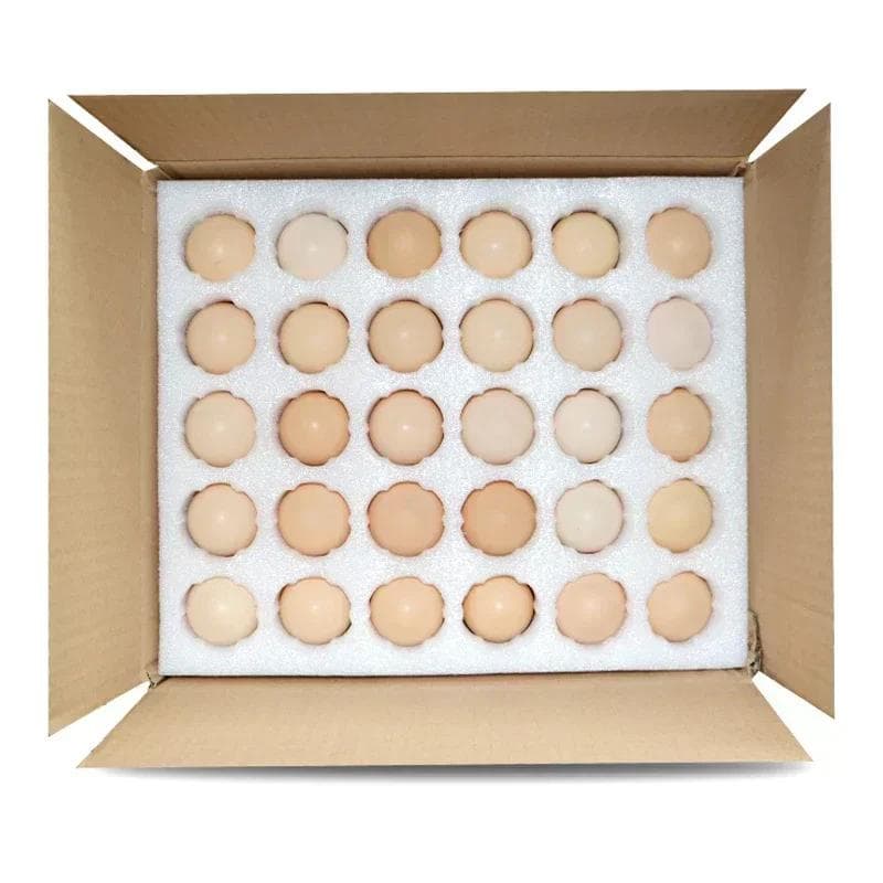Perlbaumwolle Eierkarton 30 Löcher 50 Löcher Expressversandverpackung Kollisionsschutz Verdickung Schaumstoff Schutzschale Geschenkbox
