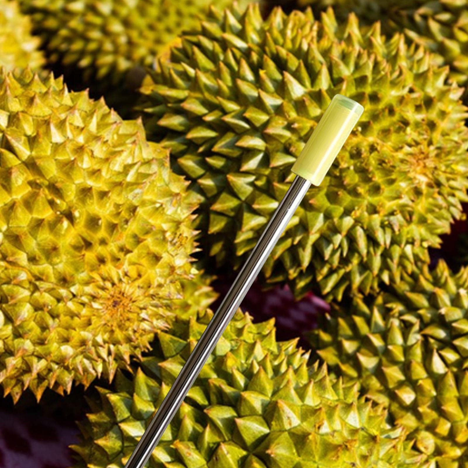 Durian Frischetester, Handliches Gerät zur Bewertung von Früchten