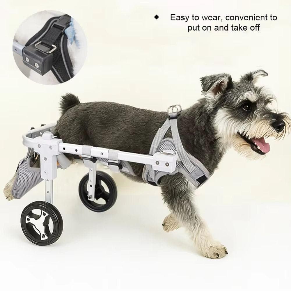 Verstellbarer Haustier-Mobilitätswagen 2/4-Rad Mobilitäts-Haustier-Rehabilitationsrollstuhl Behinderte Hunde