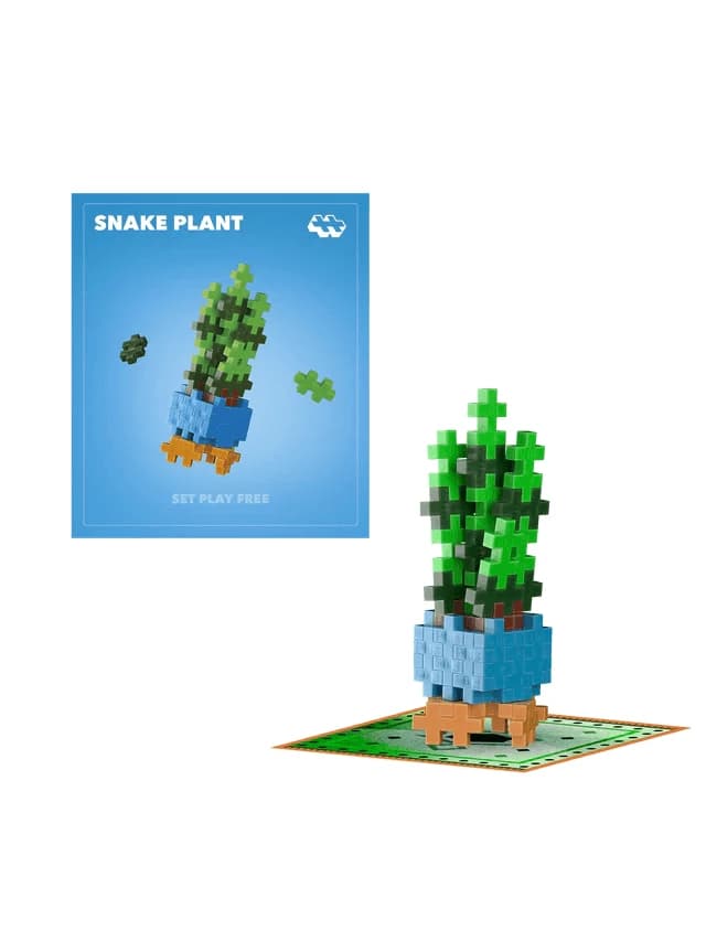 Baukasten Plus-Plus, PFLANZEN - Sansevieria