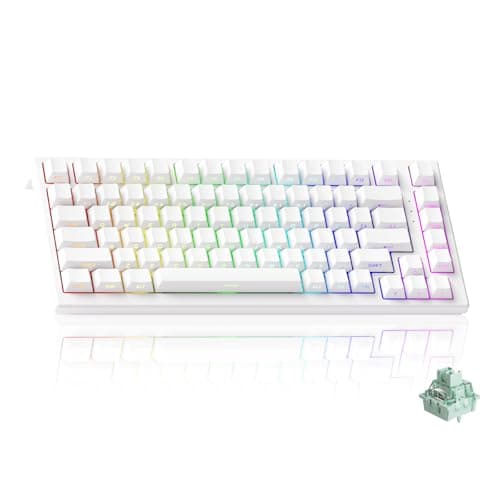 Akko TAC75 HE Gaming Tastatur 75% Magnetschalter Rapid Trigger 8K Wired | Hall Effekt Snap-Tap,US Layout,RT0,005 mm,einstellbarer