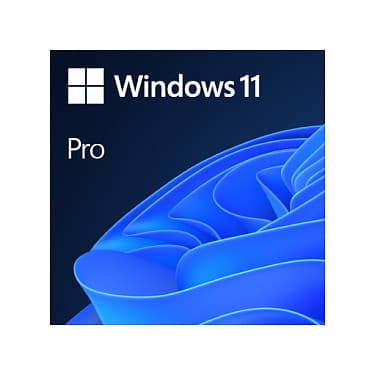 Microsoft Windows 11 Pro