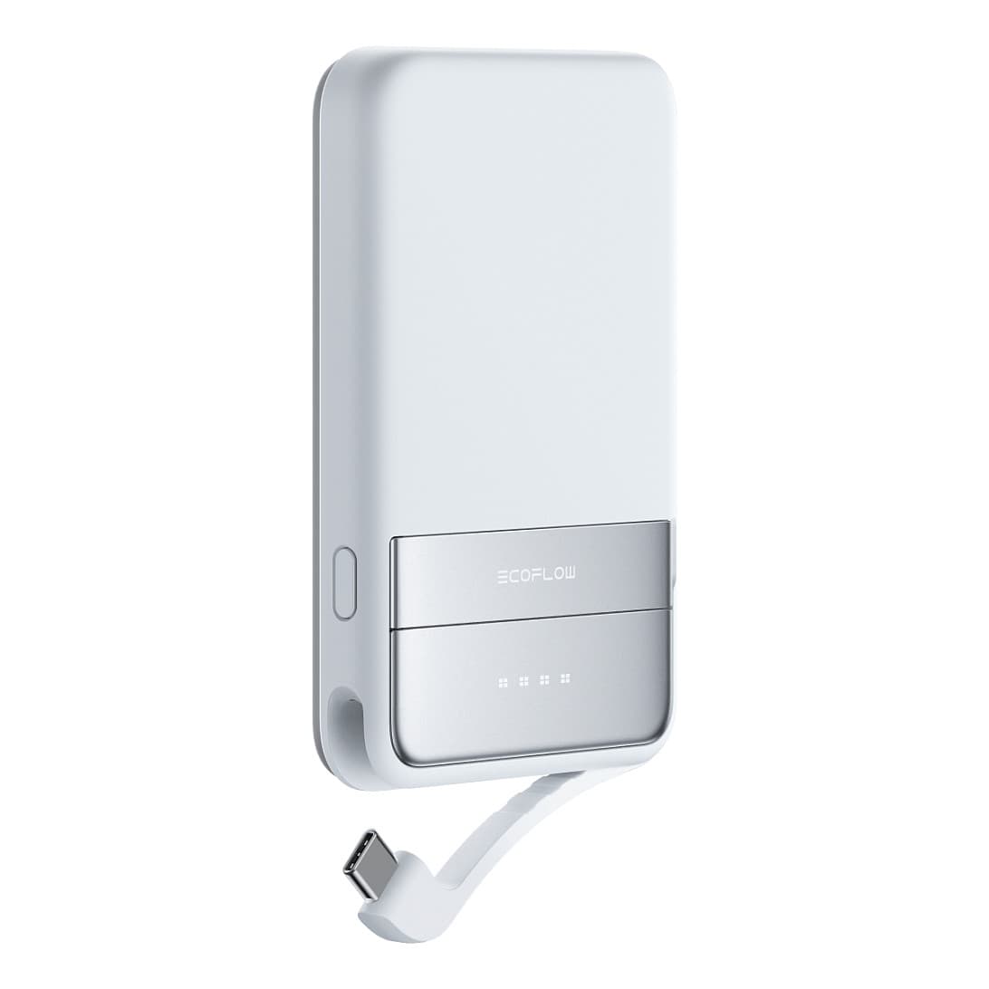 EcoFlow Rapid