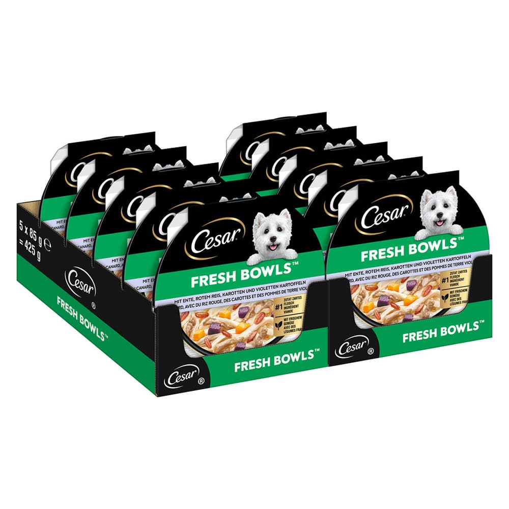 Cesar Fresh Bowls - Sparpaket: Ente in Sauce (40 x 85 g )