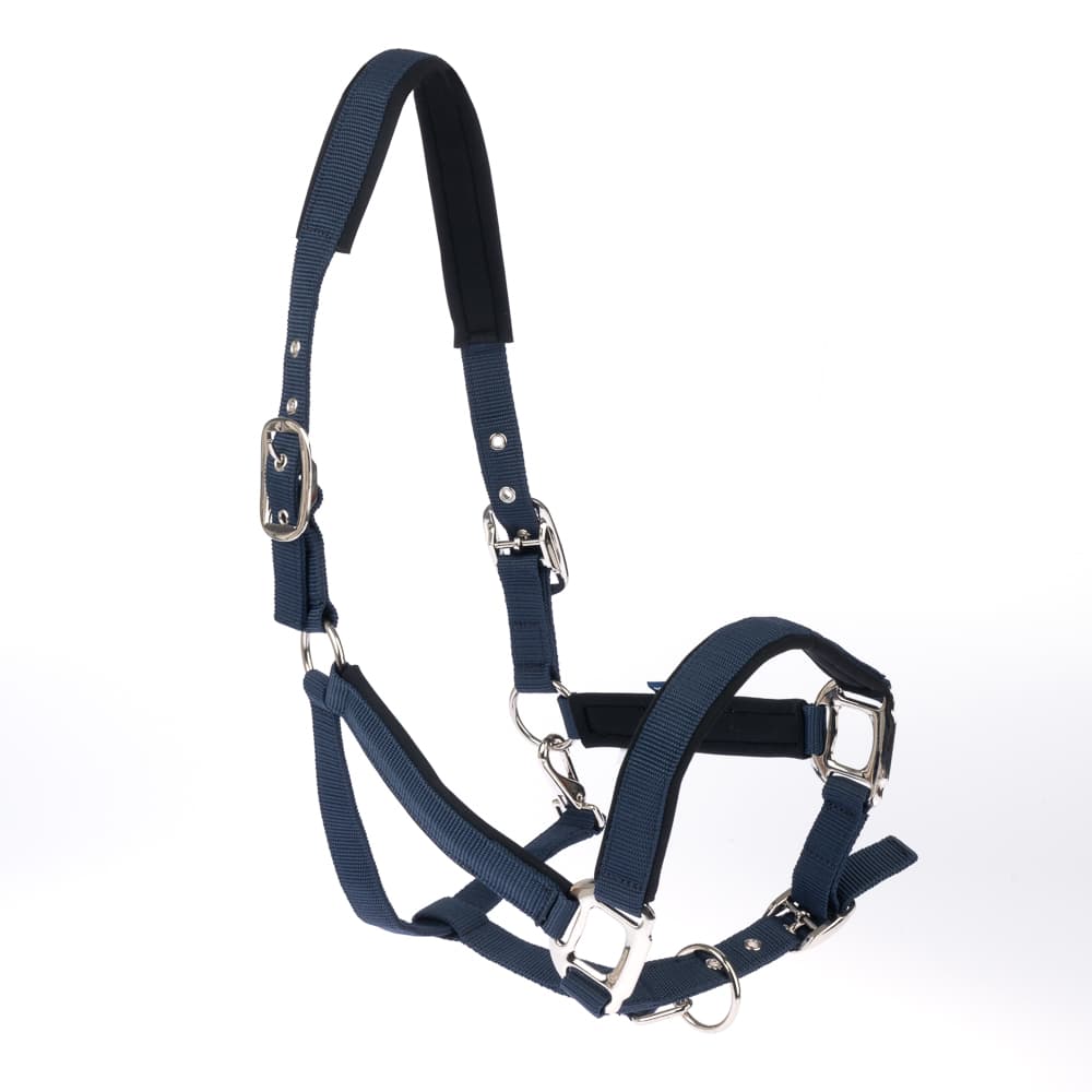 Nomad Tales Halfter mit Neoprenpolsterung, marineblau - Pony