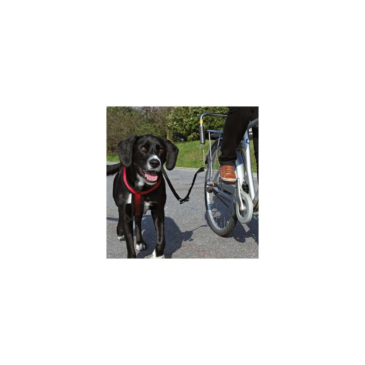 Trixie Biker-Set, Gr. S-M