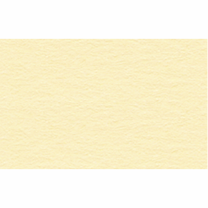 Tonpapier 130g qm 50x70cm chamois