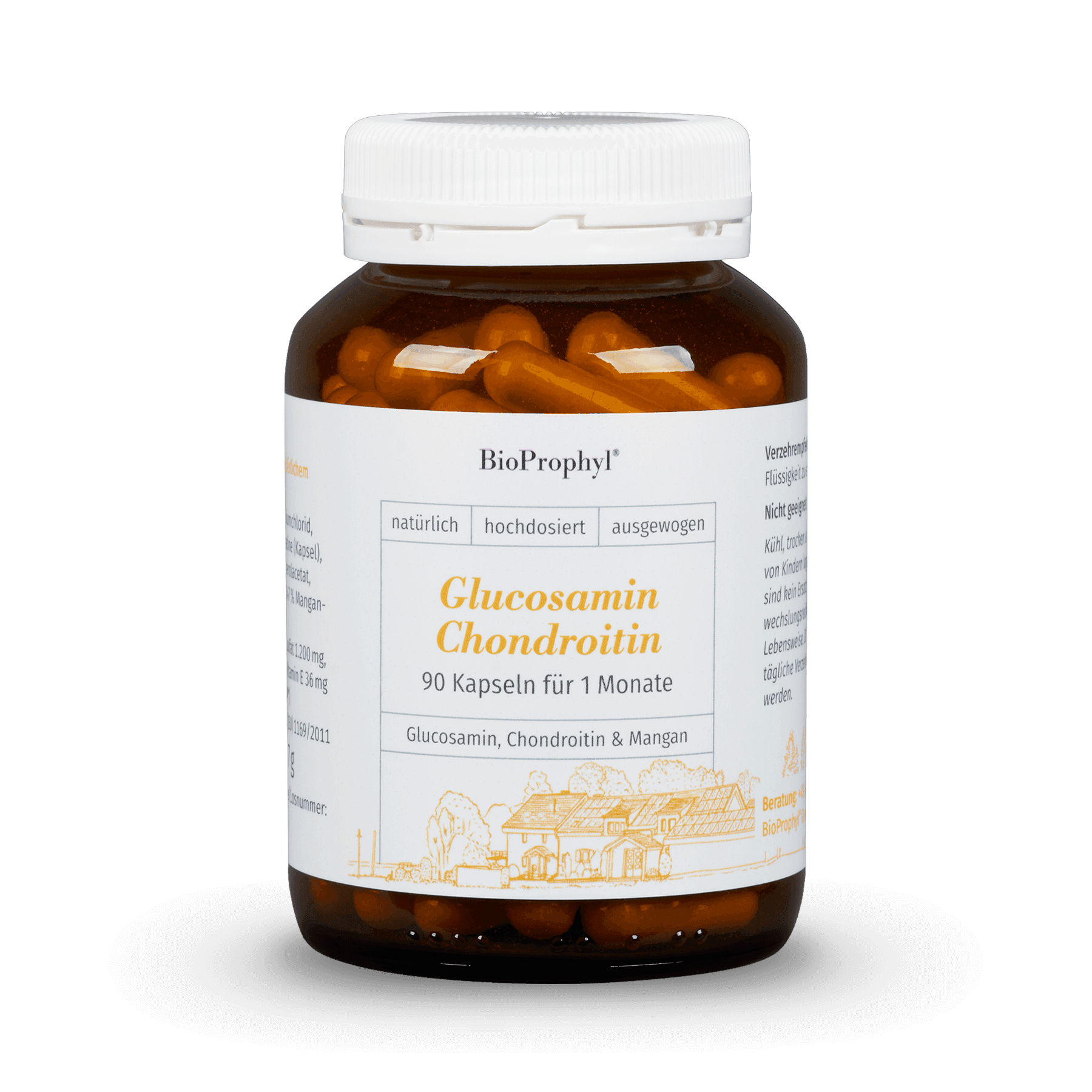 BioProphyl Gewrichtscomplex Glucosamine + Chondroitine 90 capsules met 400 mg glucosaminesulfaat en 200 mg chondroïtinesulfaat 