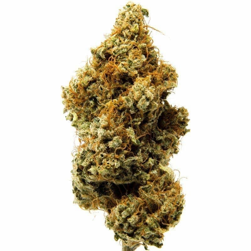 Nevada AK-47 Indoor CBD Blüten 10g