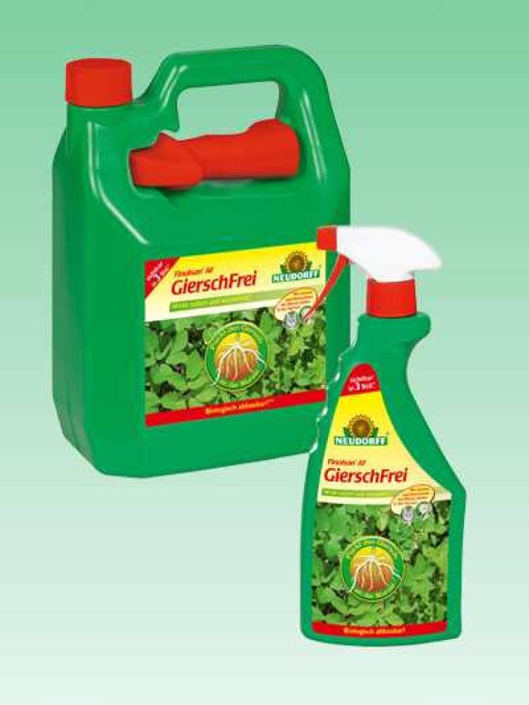Neudorff Finalsan Gierschfrei AF 3 Liter Kanister