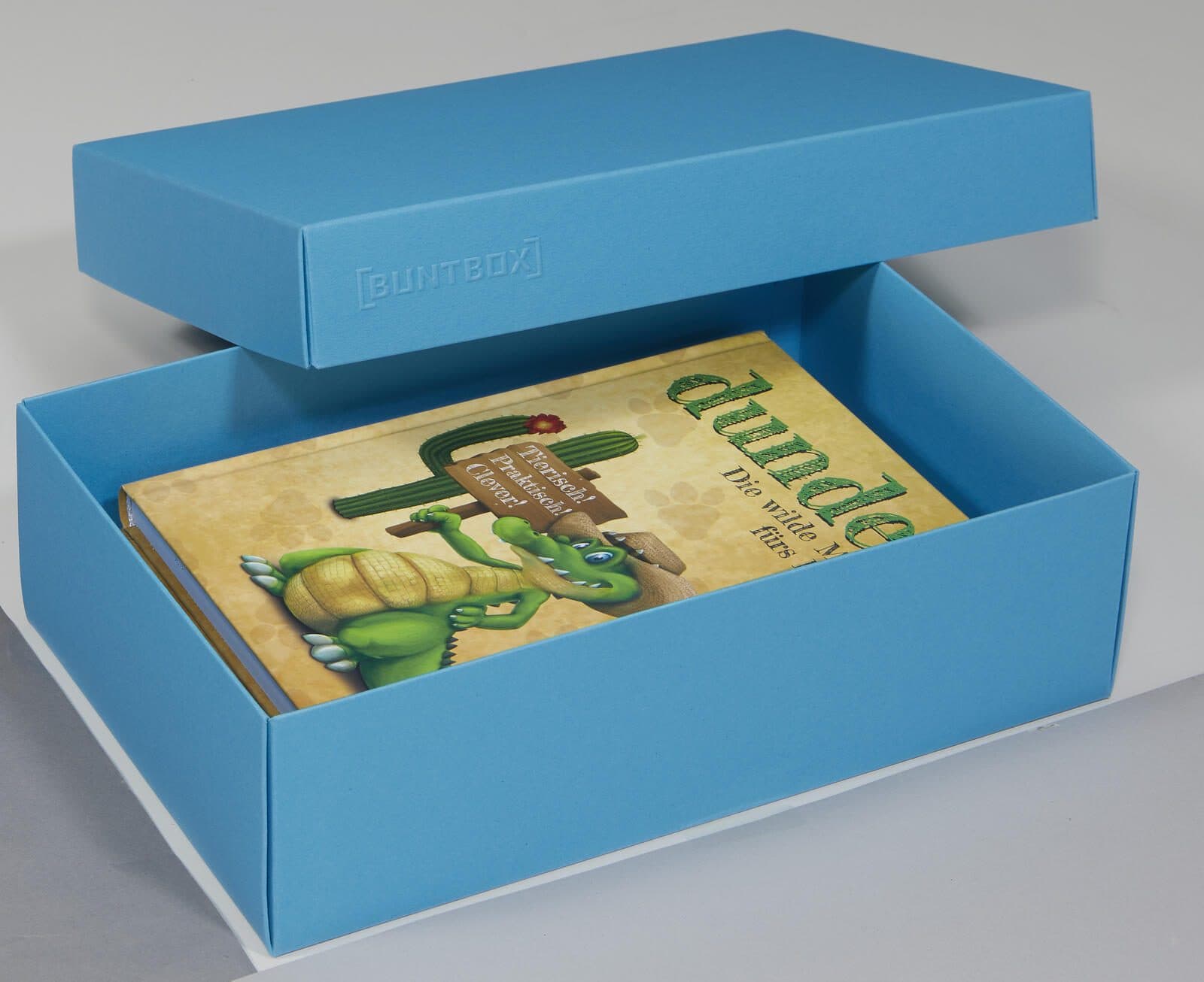 BUNTBOX Geschenkboxen L 3,6 l - 26,6 x 17,2 x 7,8 cm blau