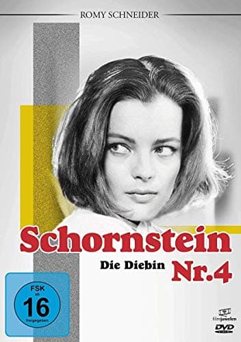 Schornstein Nr. 4 - Die Diebin