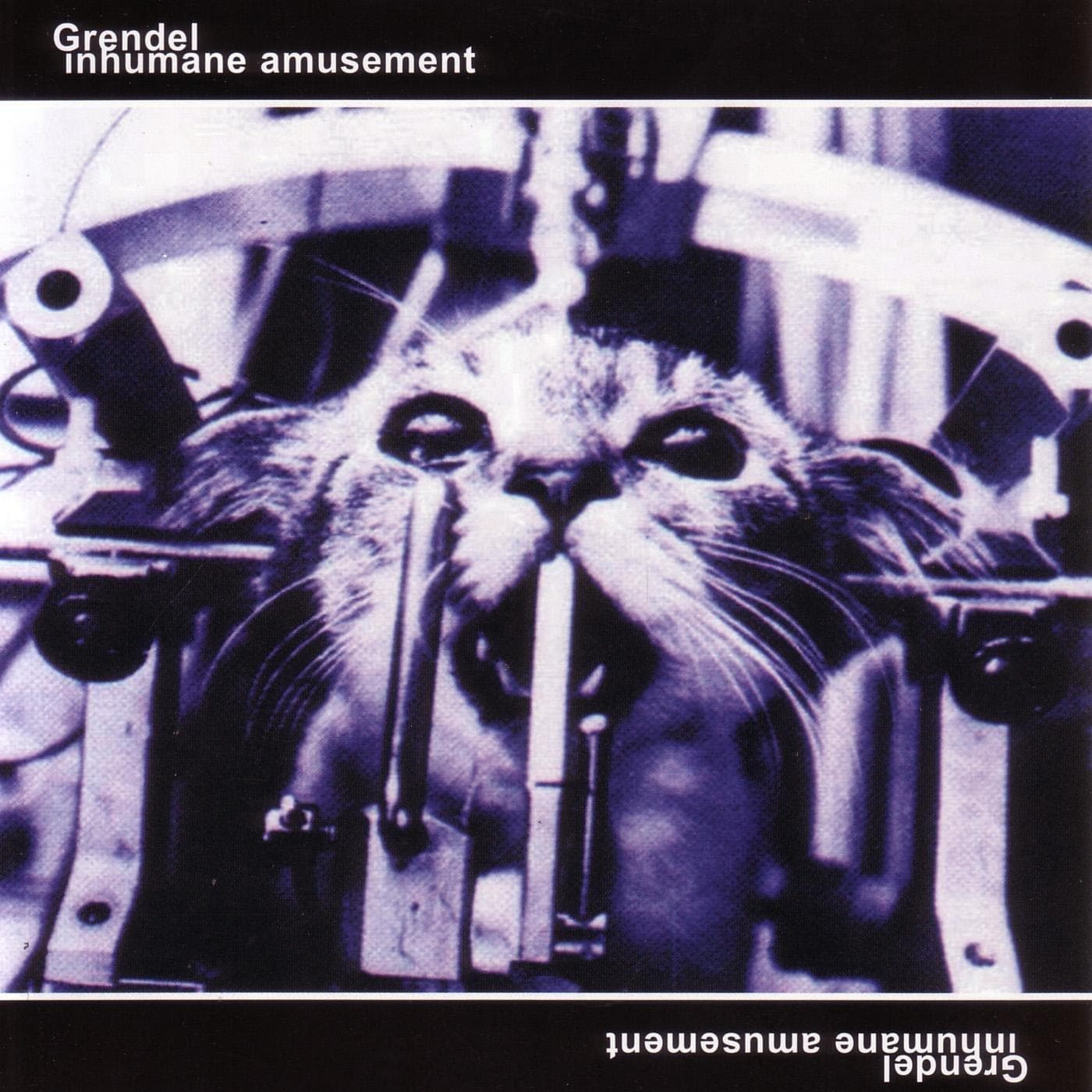 Inhumate amusement