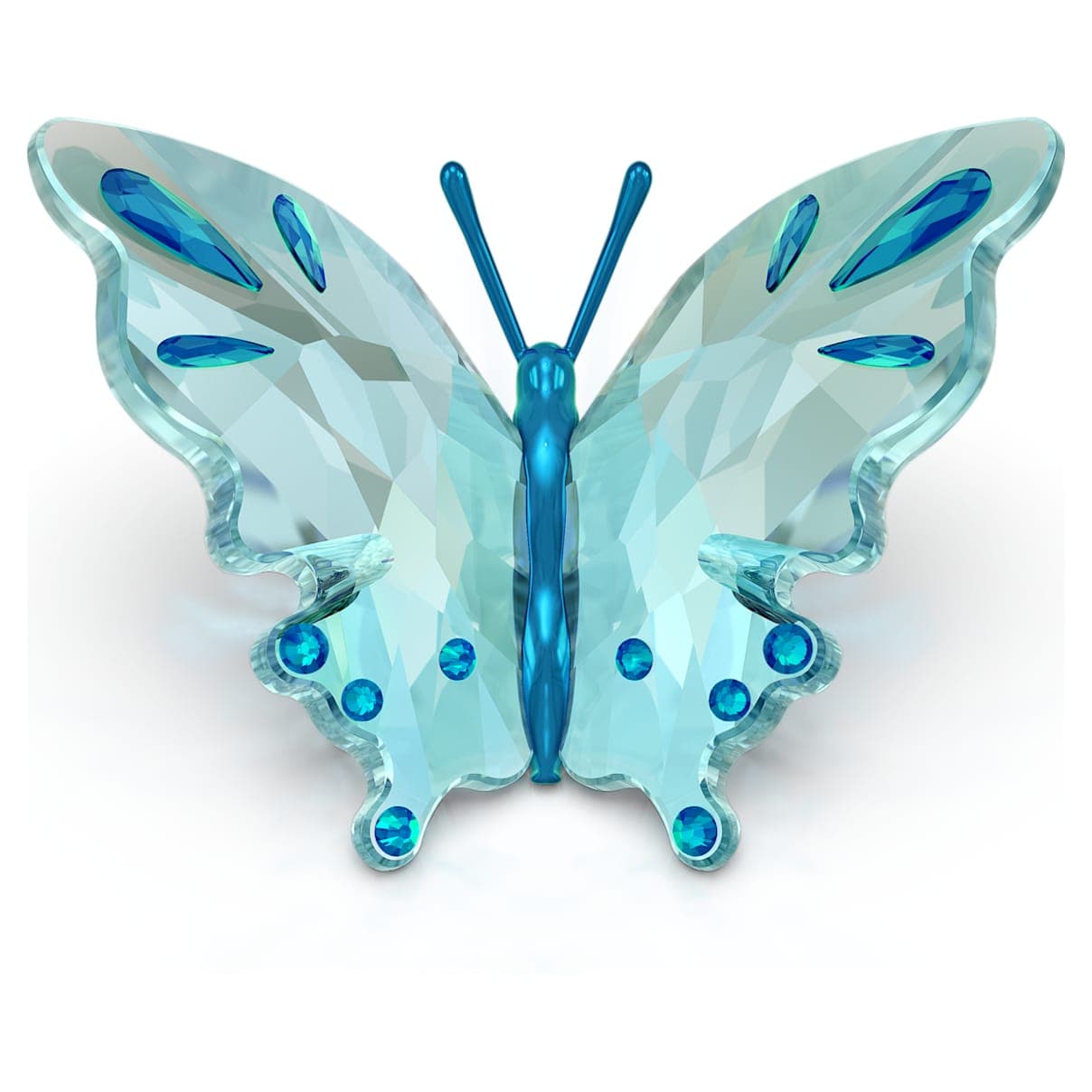 Idyllia Mariposa, Turquesa