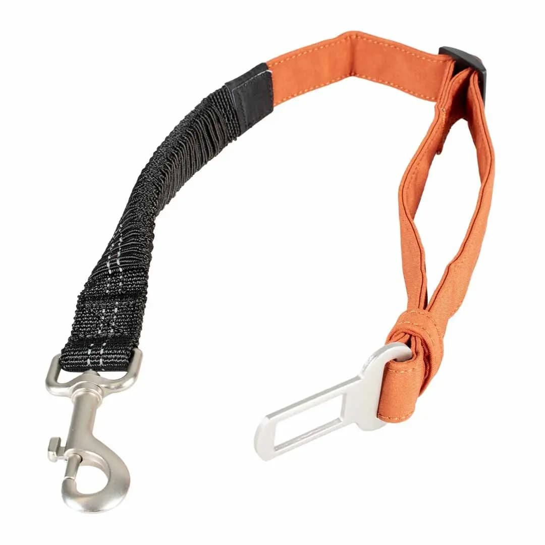 Katzenspielzeug Duvoplus Trail