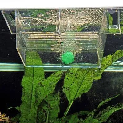 Zubehör für das Aquarium jbl proair