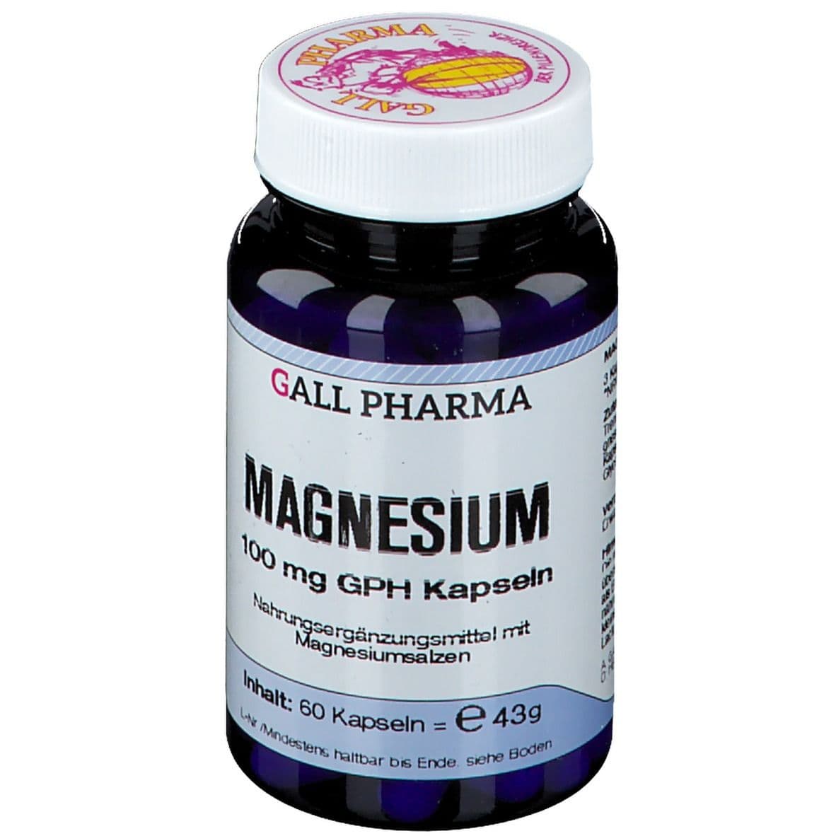 Magnesium 100 mg GPH Kapseln 60 St
