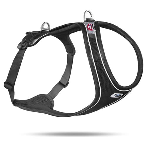 Curli Magnetic Belka Comfort Geschirr schwarz, Größe: XS