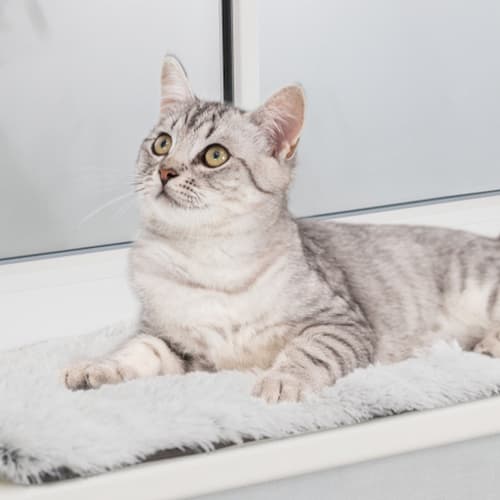 Trixie Liegematte Harvey für Fensterbank weiß-schwarz