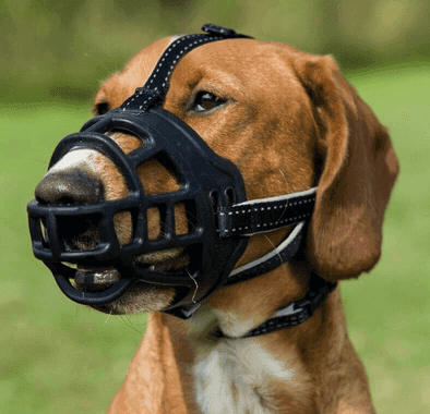 TRIXIE Maulkorb Muzzle Flex L–XL