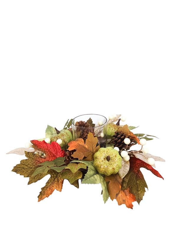 Daisy Darcy 35 cm Herbstkürbis Kerze Holzglasbehälter Naturmaterial: Tannenzapfen