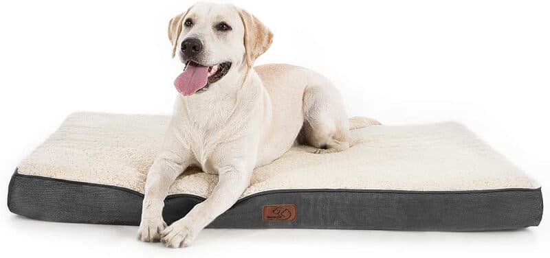 BEDSURE Hundekissen, Eierkarton-Schaumstoff für kleine, mittlere und große Hunde, orthopädisches Hundebett, gemütlicher Liegebereich, 75 x 50 cm,