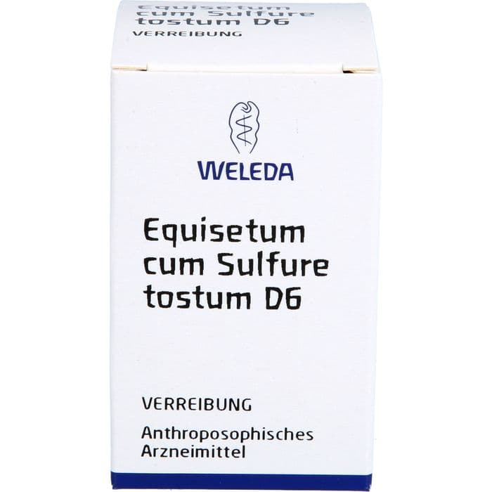 EQUISETUM CUM Sulfure tostum D 6 Trituration 20 g