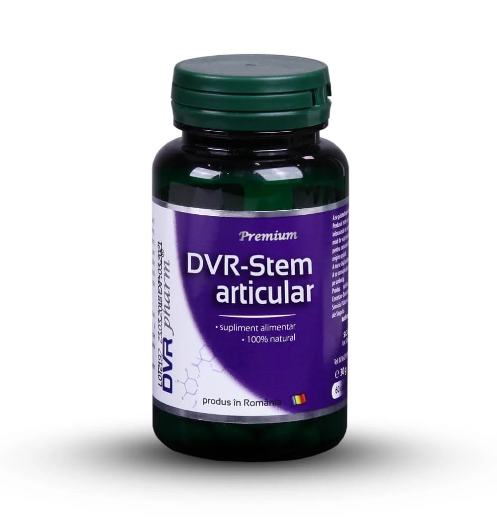DVR-Stamm-Gelenk, 60 Kapseln, Dvr Pharm