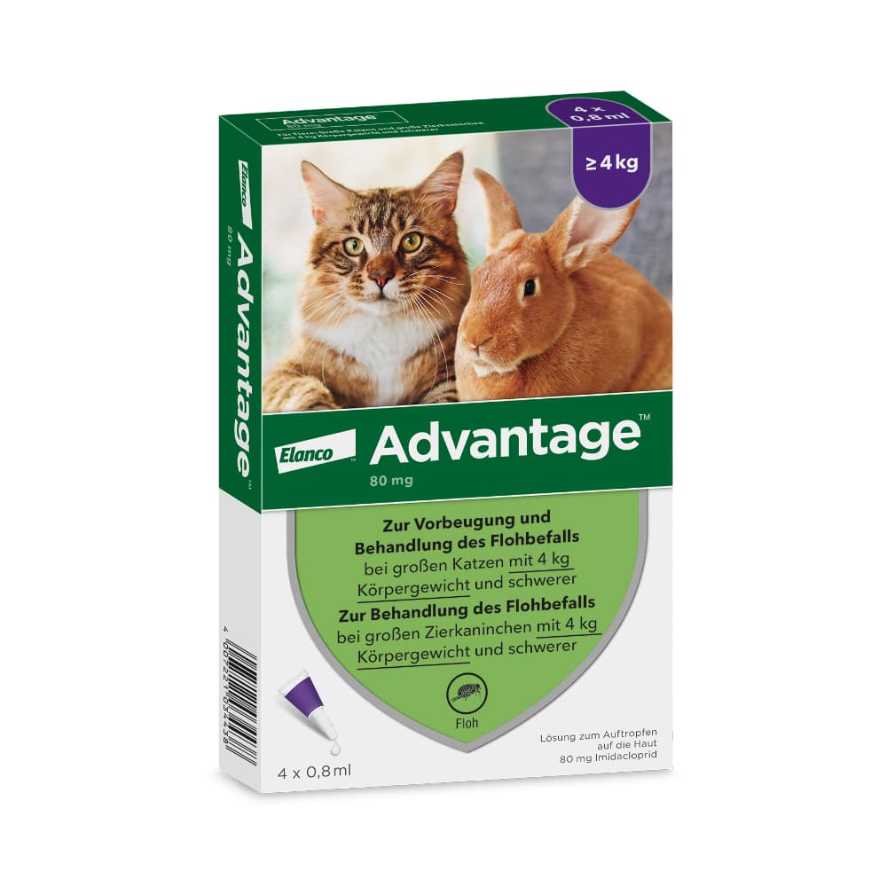 Advantage® für Katzen und Zierkaninchen - 4 Pipetten x 0,8 ml (> 4kg)