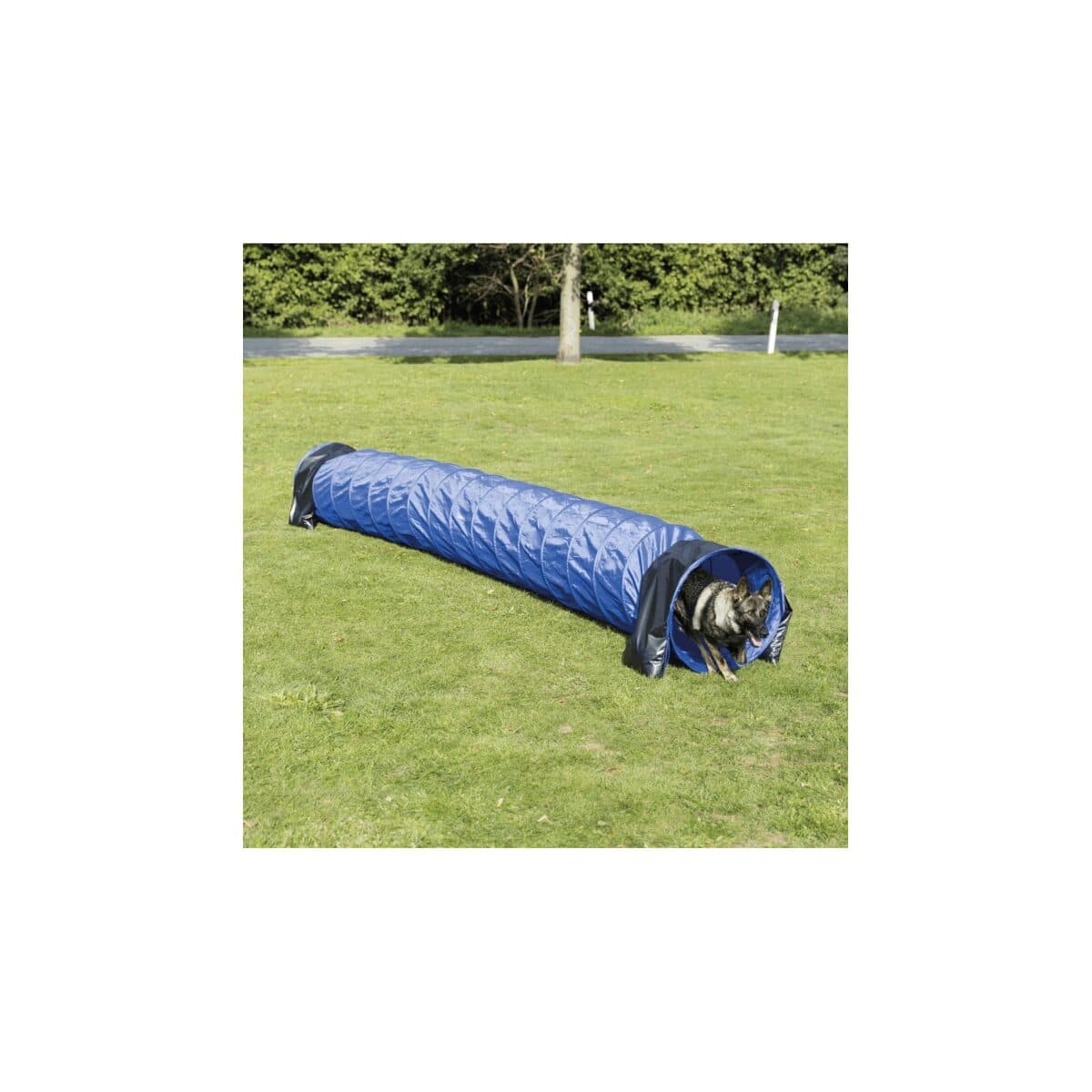 Trixie Agility Tunnel für mittlere/größere Hunde