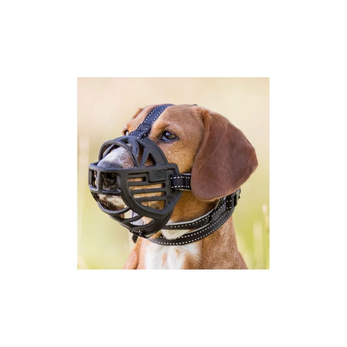 Trixie Maulkorb Muzzle Flex, Gummi - L-XL