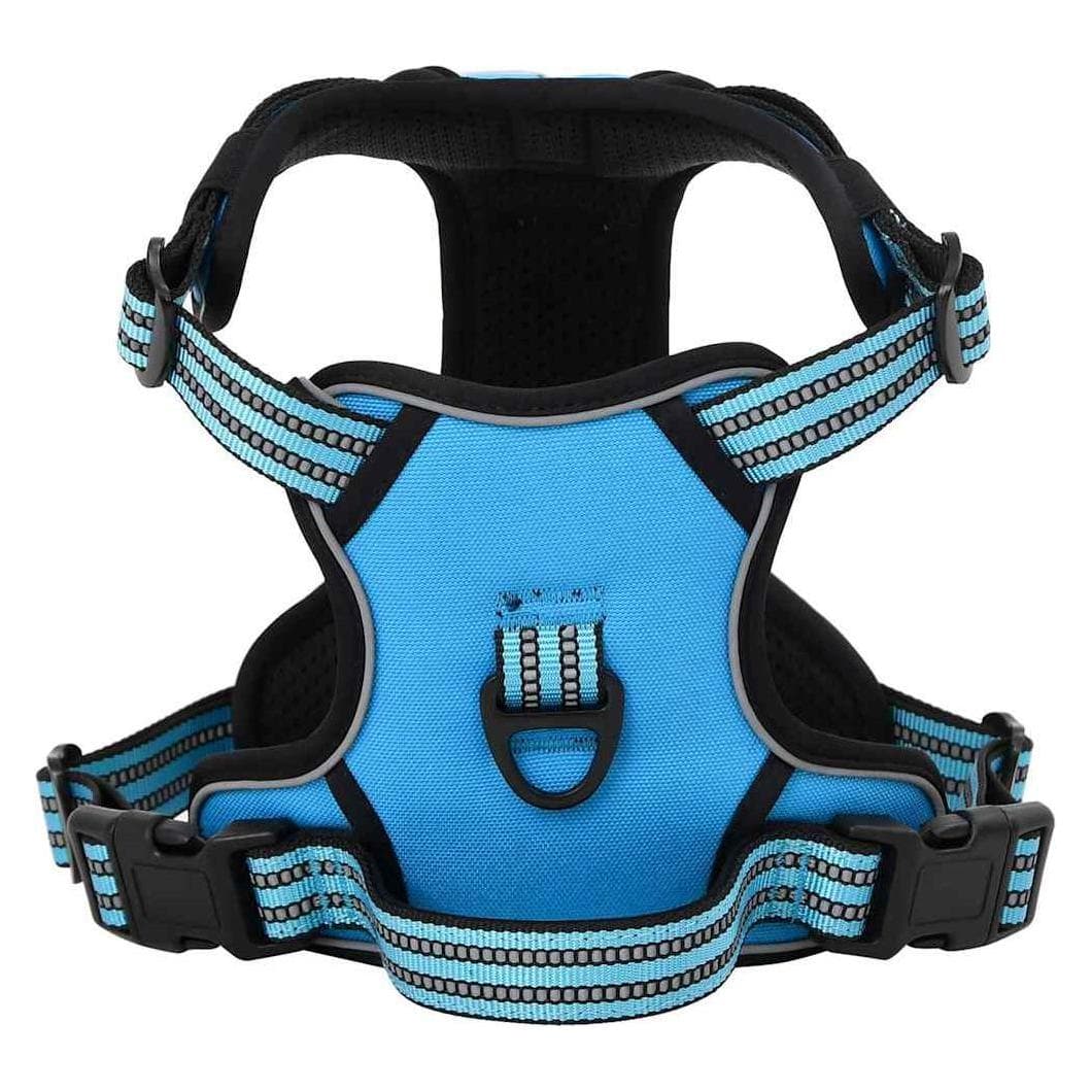 vidaXL Ambre (XL, Hund, Spazieren), Halsband + Leine