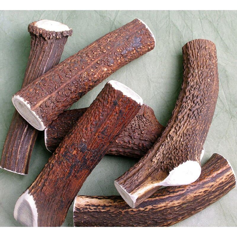 Hirschgeweih Beisser f?r Hunde ganze Geweihst?cke M (50-80g)