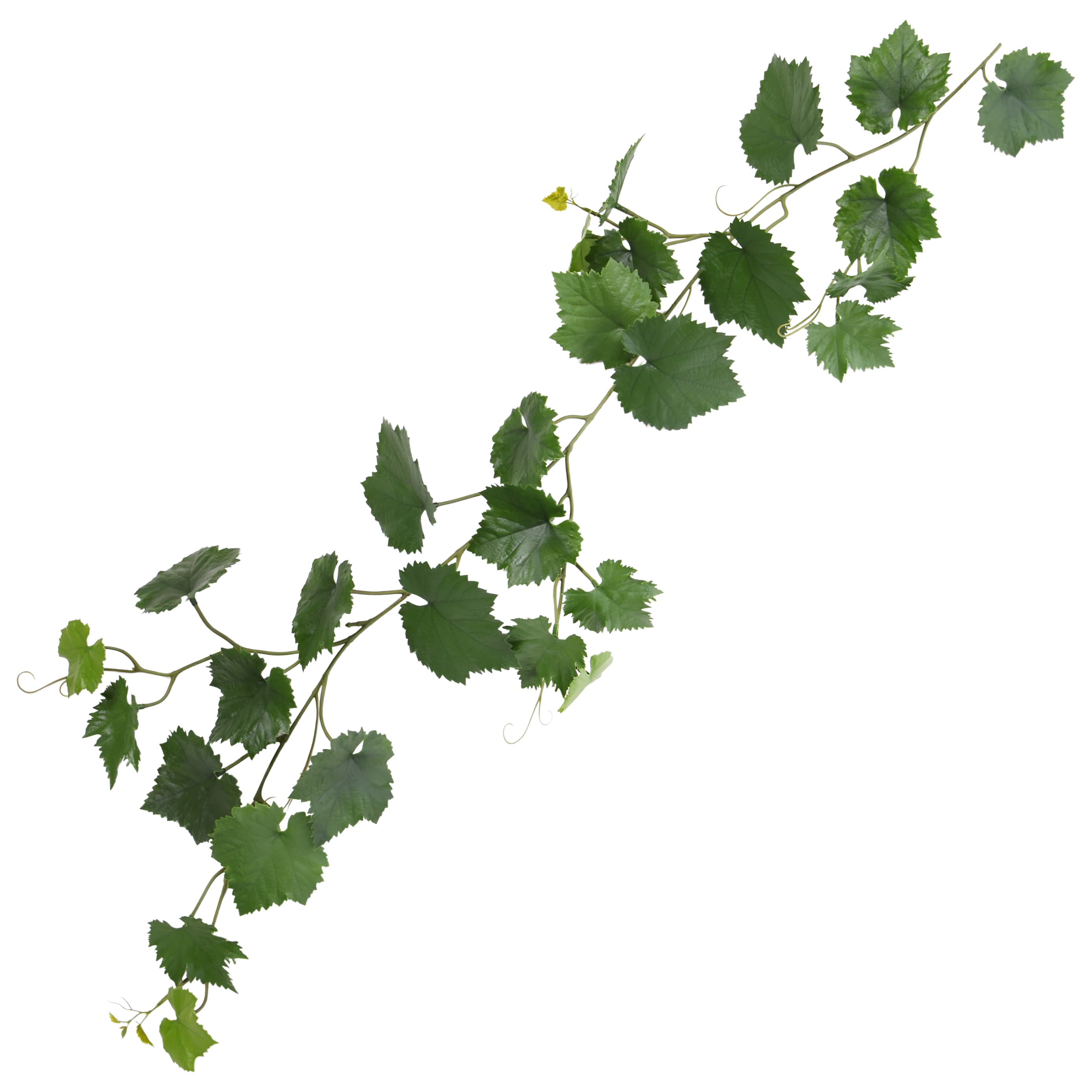 Künstliche Traubengirlande 110cm UV grün