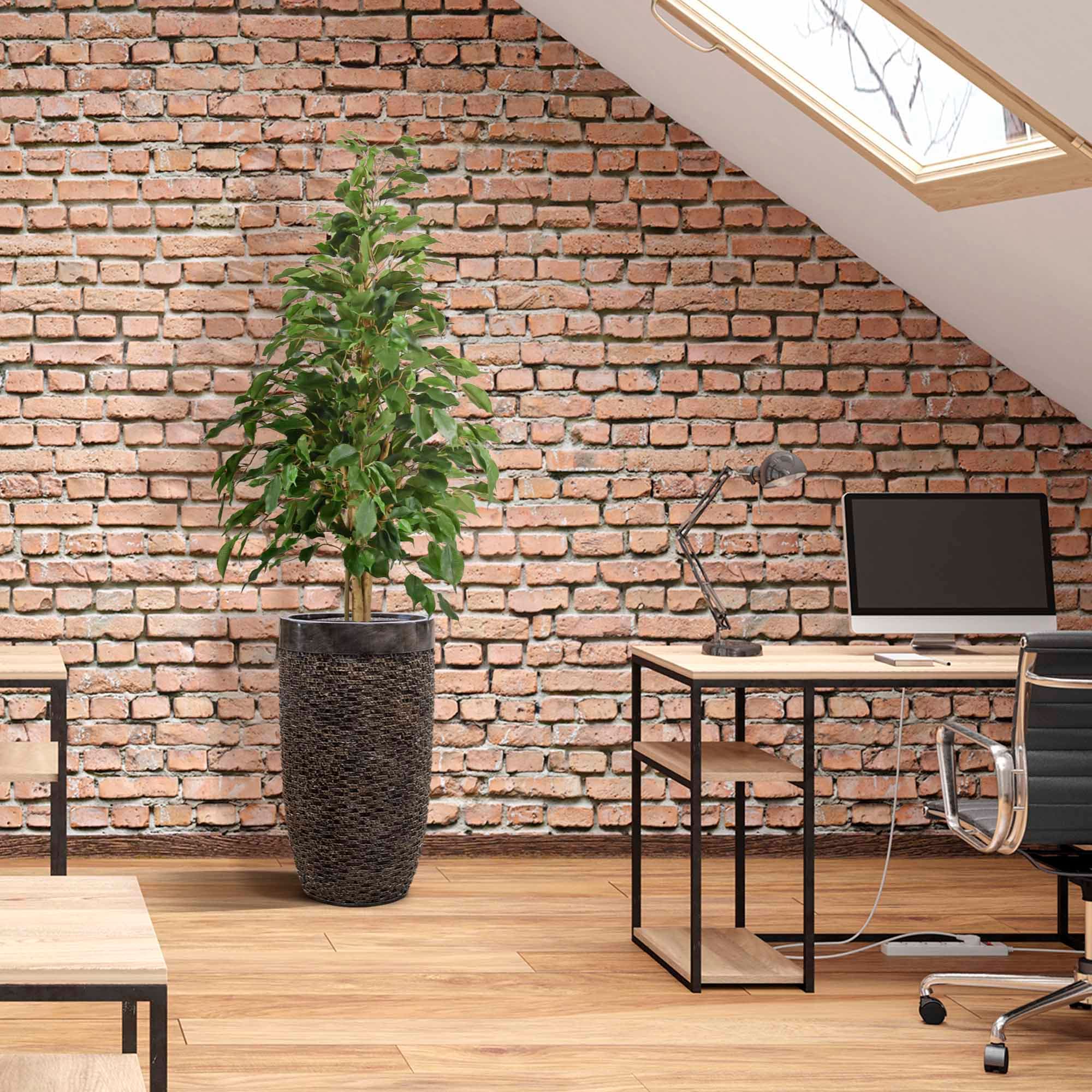 Ficus Kunstpflanze Exotica 120cm grün