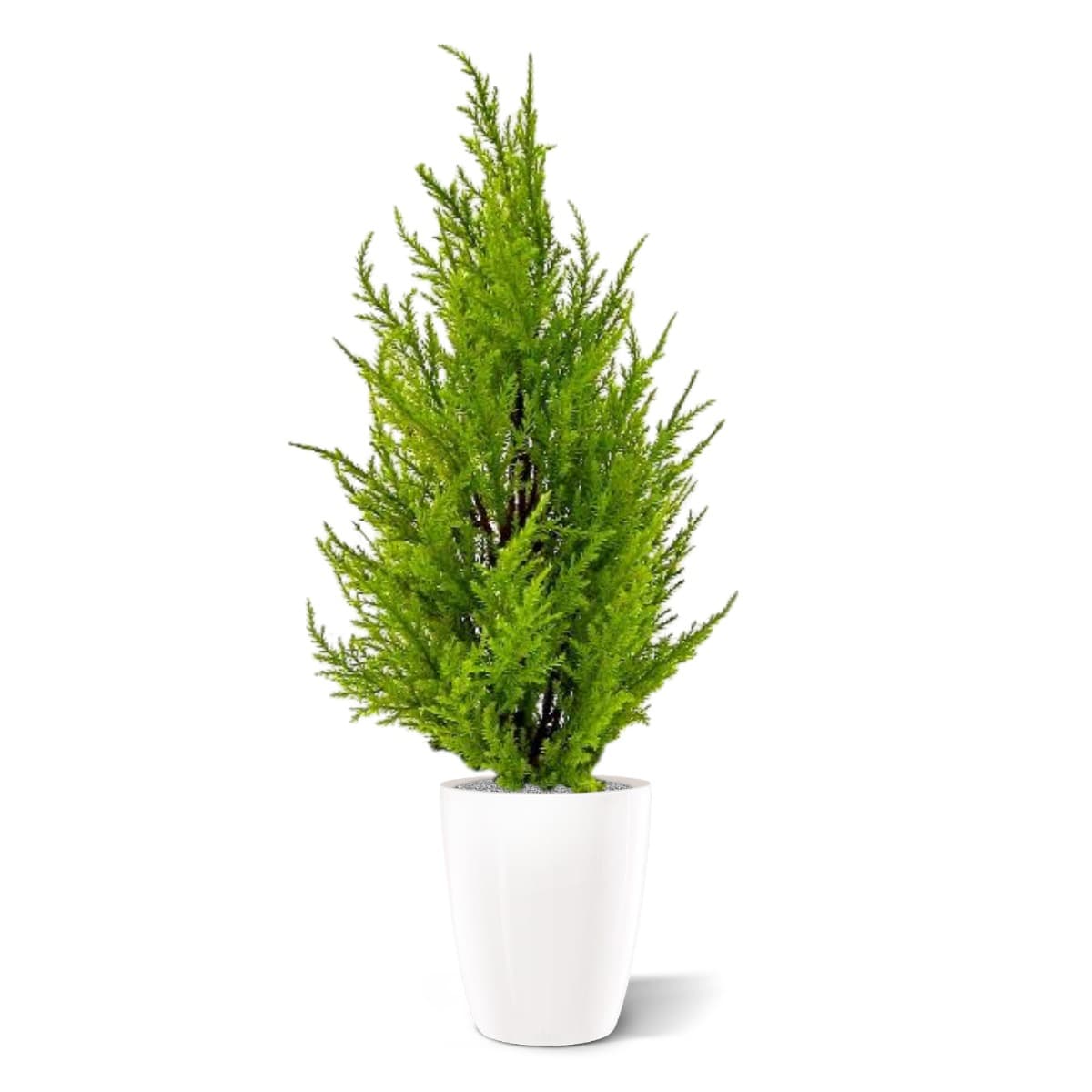 Künstliche Zypresse 45 cm mit Topf (gelb/ grün)