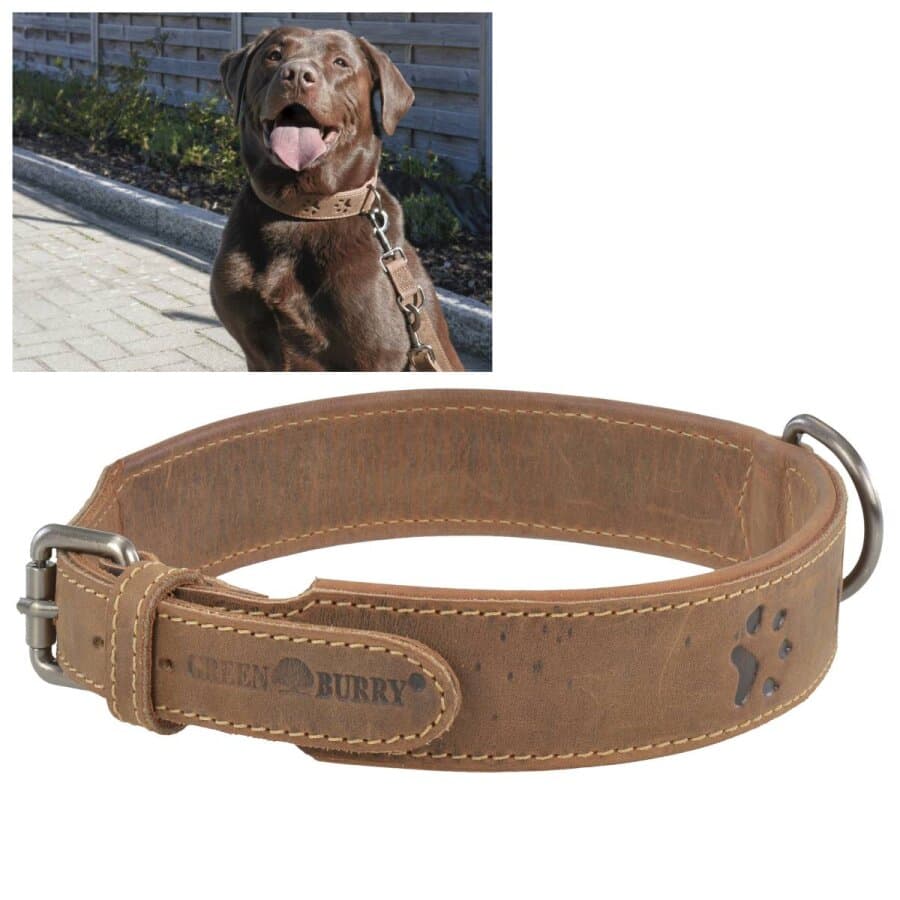 Strapazierfähiges Hunde-Halsband für große Hunde aus Leder in antikbraun | Greenburry. Sichere Kontrolle für Ihren optimal geordneten Alltag.